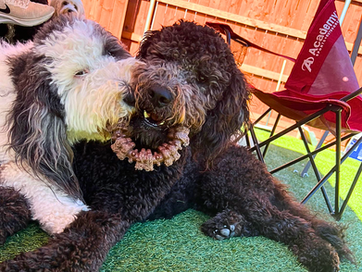 20230206_154710_61C44E - Edited.png