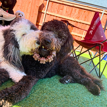 20230206_154710_61C44E - Edited.png