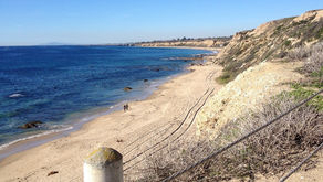Sunshine, sand and second chances
