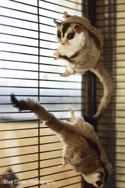 08-lores-DSC_6310-edit