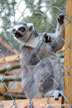 05-lores-DSC_6207-edit