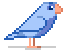 jasperbirdanimation-cropped-flipped.gif