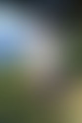 In Florida we have "Fall-ter"