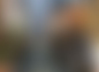 Iconic Chocolate Chip Cookies