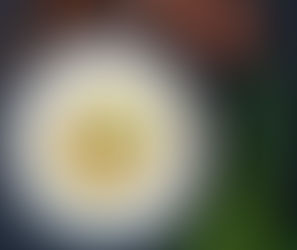 Roasted Red Pepper Chili