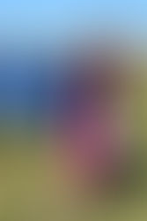 Isn't it Romantic...