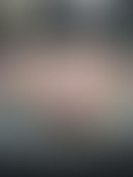 The Sweetest Sugar Cookie on the Block