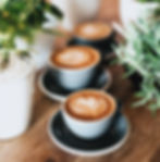 caffe macchiato trzy filiżanki wśród roślin w doniczkach