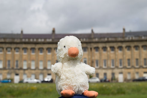 Nono the Duck
