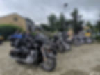 Rhug meet up