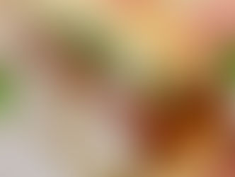 Best Chicken Sandwich