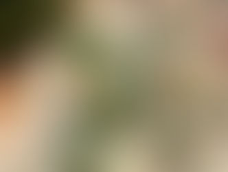 Easy Chicken Parmesan