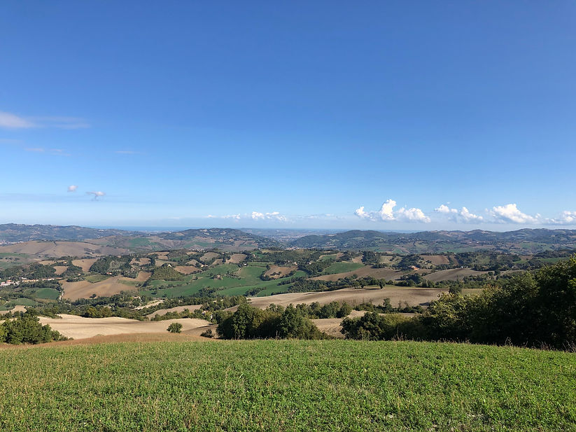 IMG_3596.jpeg
