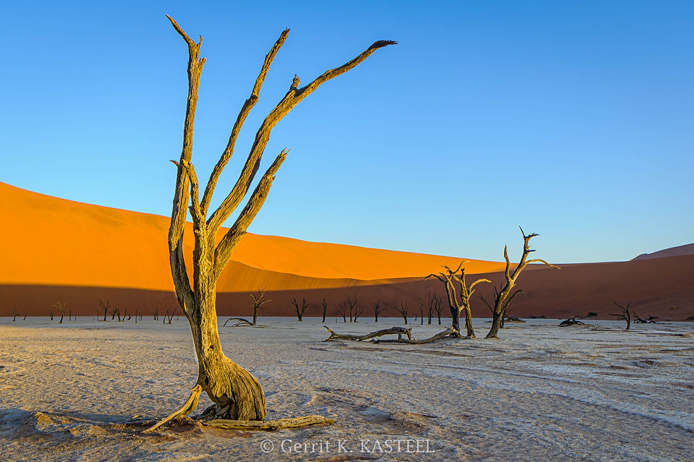 Sossusvlei | Dead Vlei