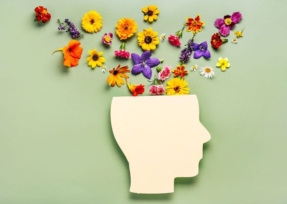 Steps to a More Organized Mind