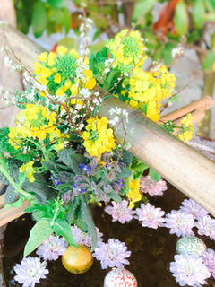 【3月】今月の花手水①