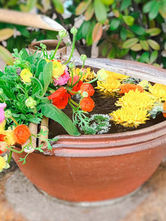 【3月】今月の花手水