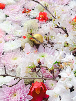 【4月】今月の花手水