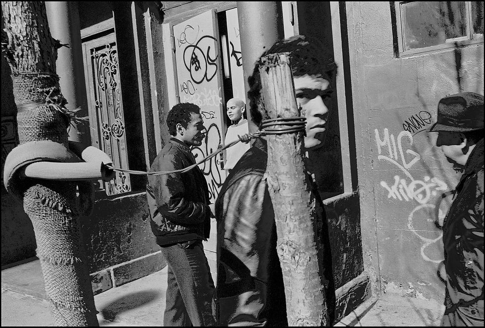 Graceful Spring - New York, March 1985