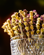 Rufus Amsterdam – a delicious cup of tea