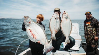Halibut in the San Francisco Bay