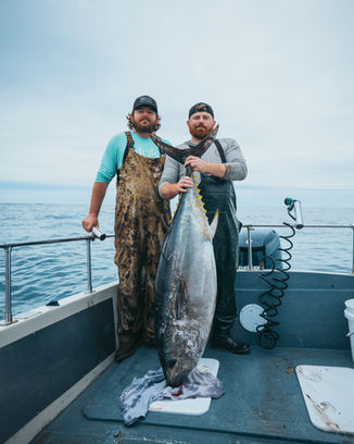 Bluefin Tuna San Francisco
