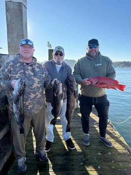Bodega Bay Fishing