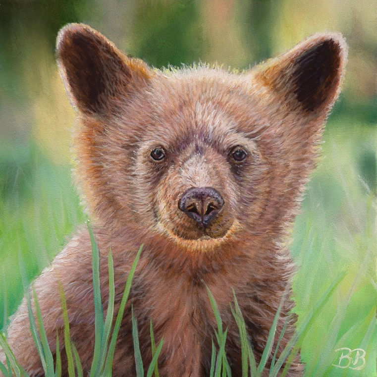 Teddy