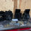 Thumbnail: 1967-1979 F350 2wd to 2005+Super Duty Front Axle Kit SDAF35