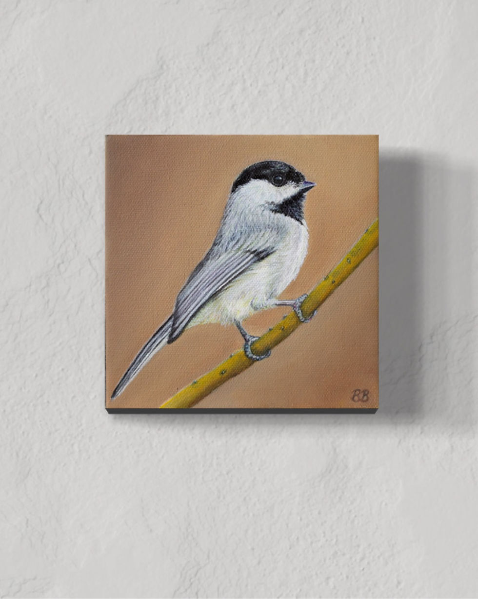 Thumbnail: Chickadee