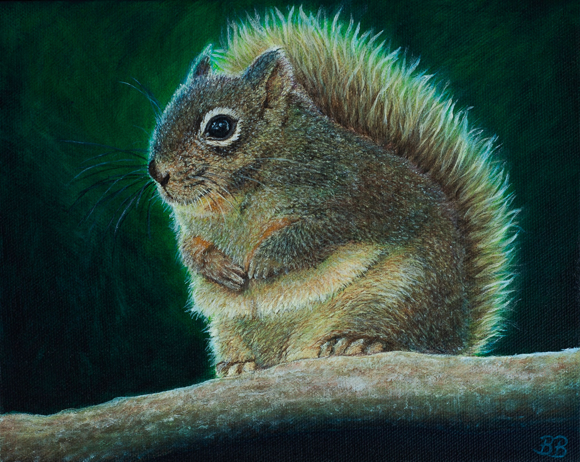 Pine Squirrel Sold