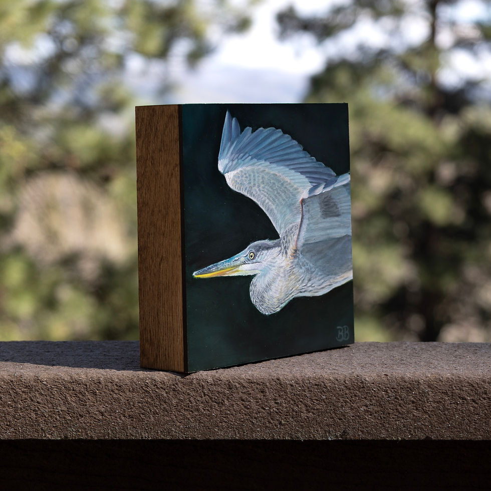 Thumbnail: In Flight