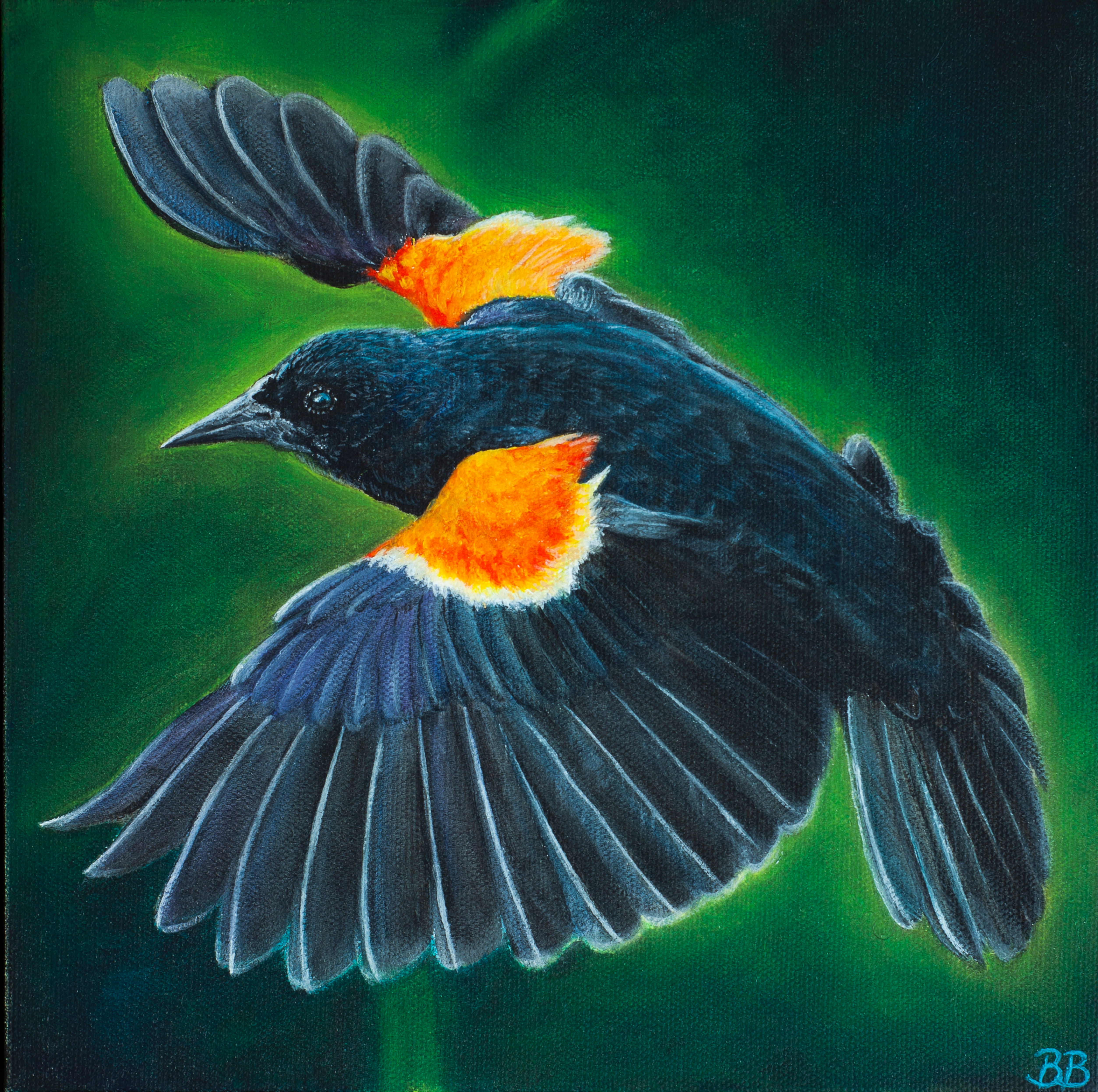 Blackbird SOLD 