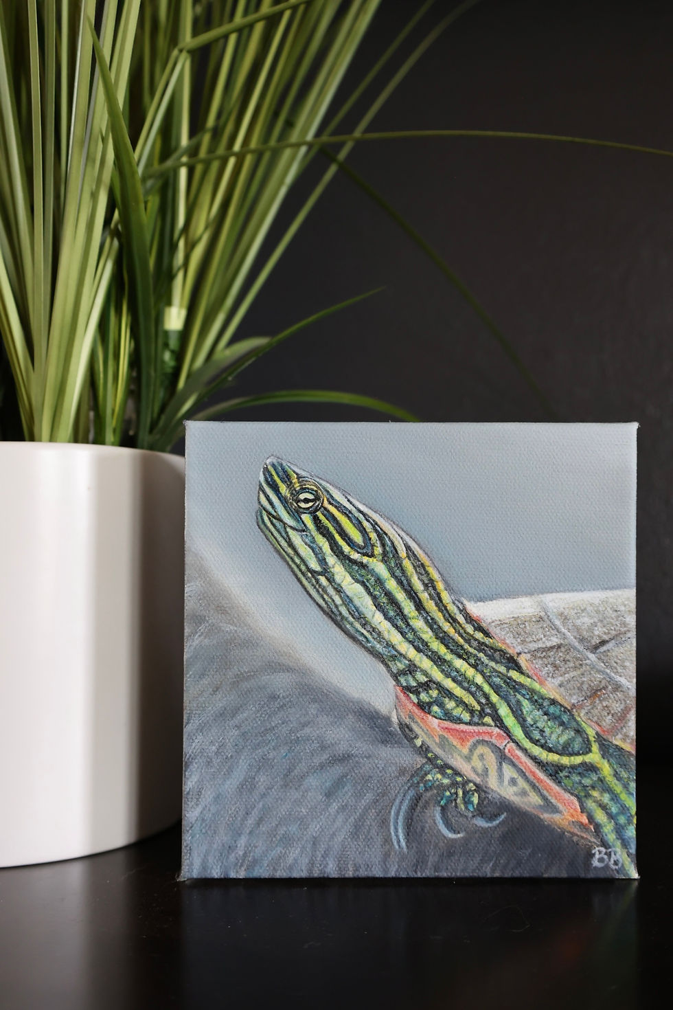 Thumbnail: Painted Turtle