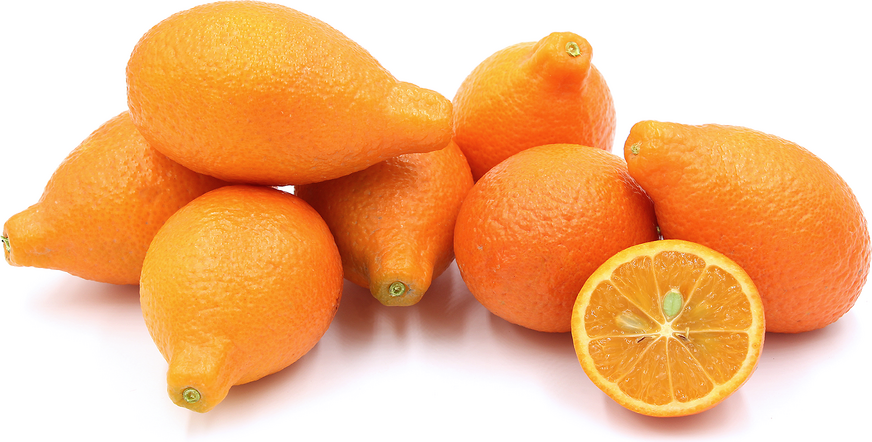 Mandarinequat