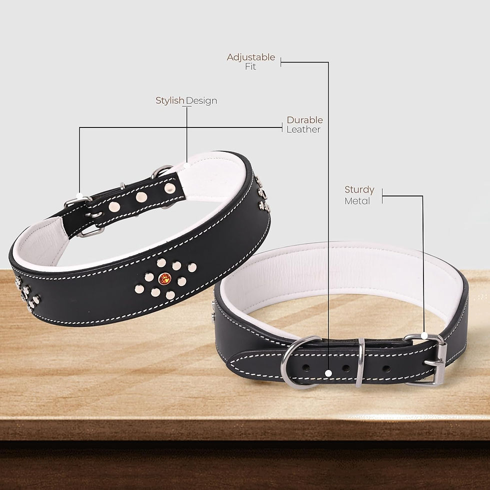 Thumbnail: Leather Dog Collar for All Breeds- Black & White (XL (Fits 22–25" Necks))