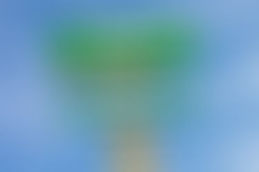 Rückblick Sommerpause und Vorschau auf den Finalevent