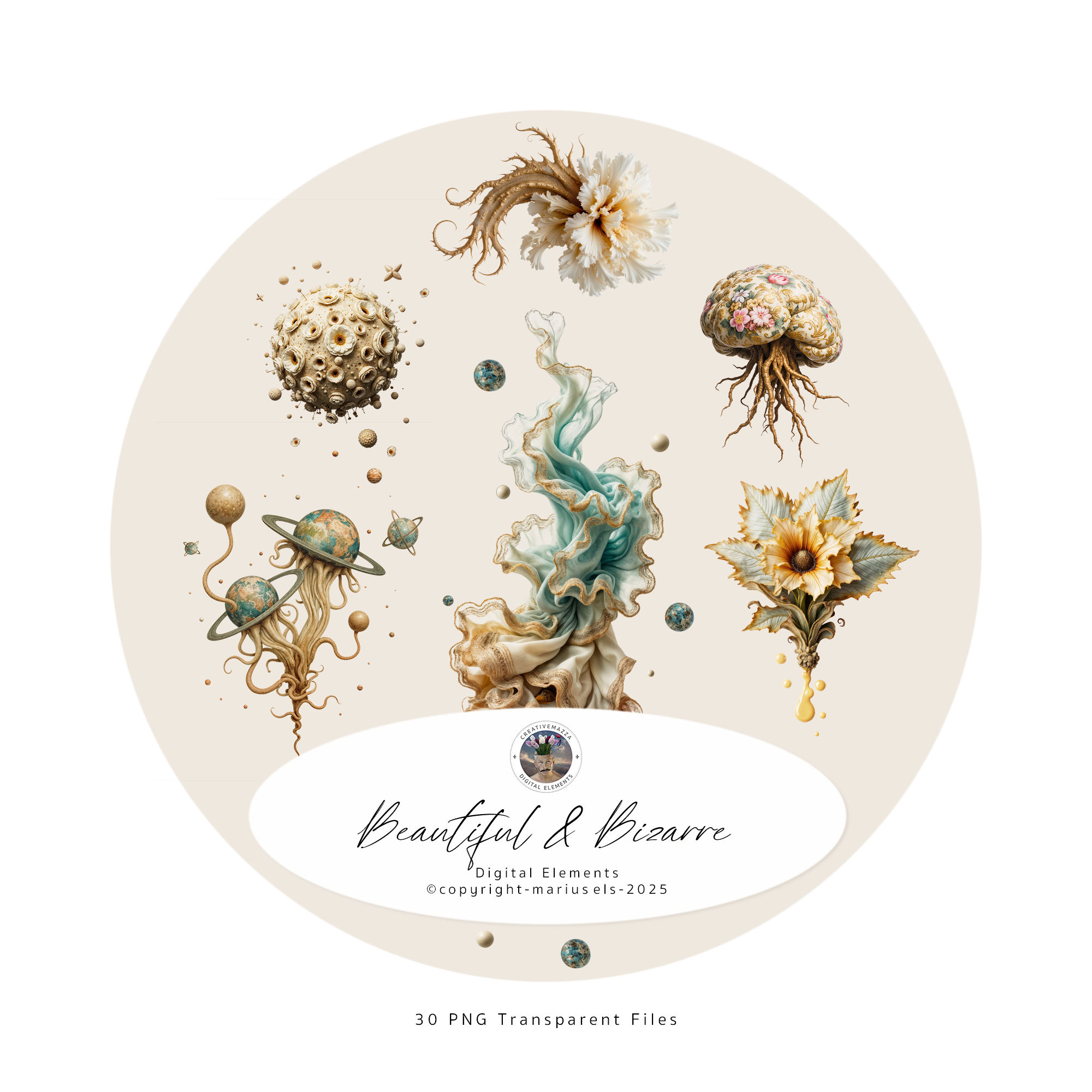 Beautiful & Bizarre