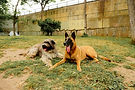DSC00081.JPG