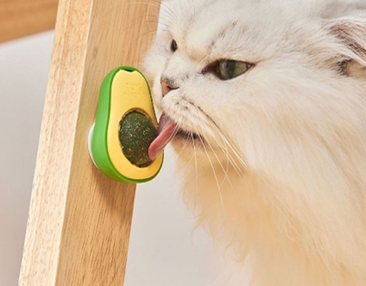 PurrMint™ Catnip Ball