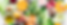 headimagecompressed.png