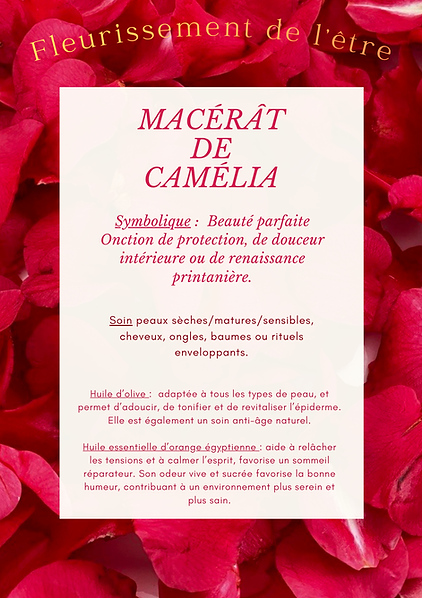 macérât de camélia(1).png