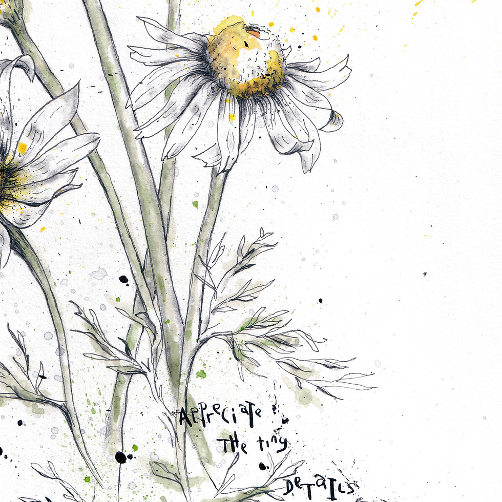 Thumbnail: ‘The flowers at no. 24’