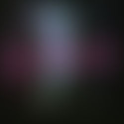 【2026年3月18日発売】矢野誠 テクノ・ディスコ・アルバムInjection初CD化！