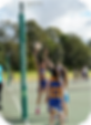 Netball 2.png