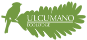 ulcumano.png