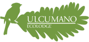 ulcumano.png