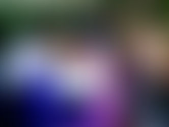 डॉसिंग स्टार्स सीजन 2 में प्रतिभागियों ने दिखाई अपनी प्रतिभा कई प्रतिभागियों का हुआ चयन