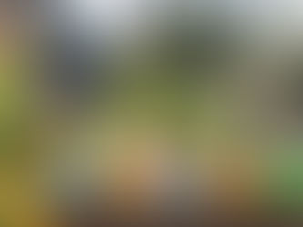 Was bedeutet Naturcoiffeur?