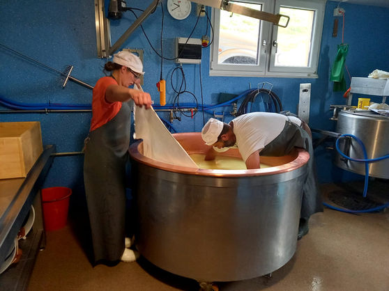 Alp Chäseren: Erika und Wili beim Chäsen